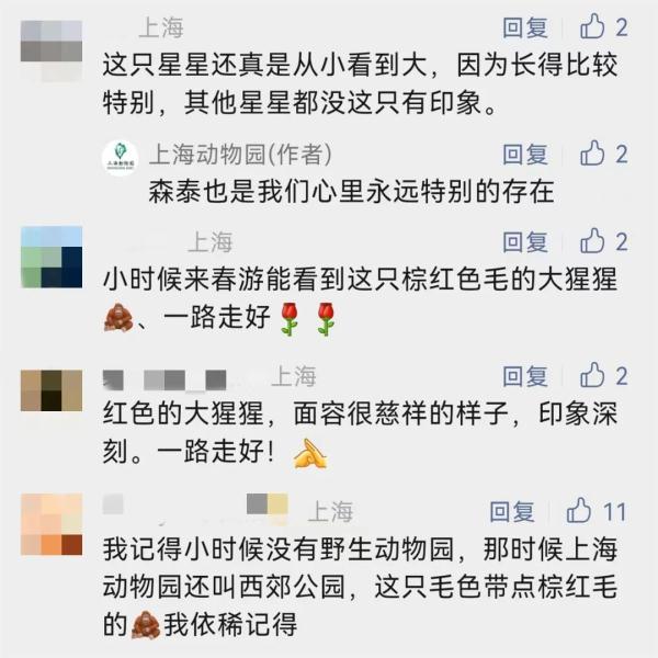 官方消息!上海人的老朋友“森泰”走了...市民不舍:带着我们的童年离去了 官方消息!上海人的老朋友“森泰”走了...市民不舍:带着我们的童年离去了