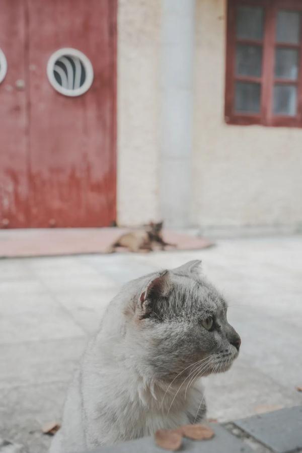 从海珠南到诗书路，原来藏着这么多小惊喜！