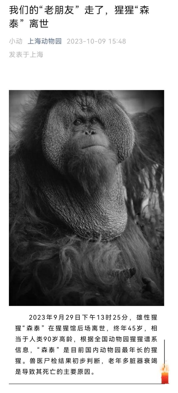 官方消息!上海人的老朋友“森泰”走了...市民不舍:带着我们的童年离去了 官方消息!上海人的老朋友“森泰”走了...市民不舍:带着我们的童年离去了