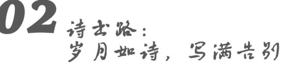 从海珠南到诗书路，原来藏着这么多小惊喜！