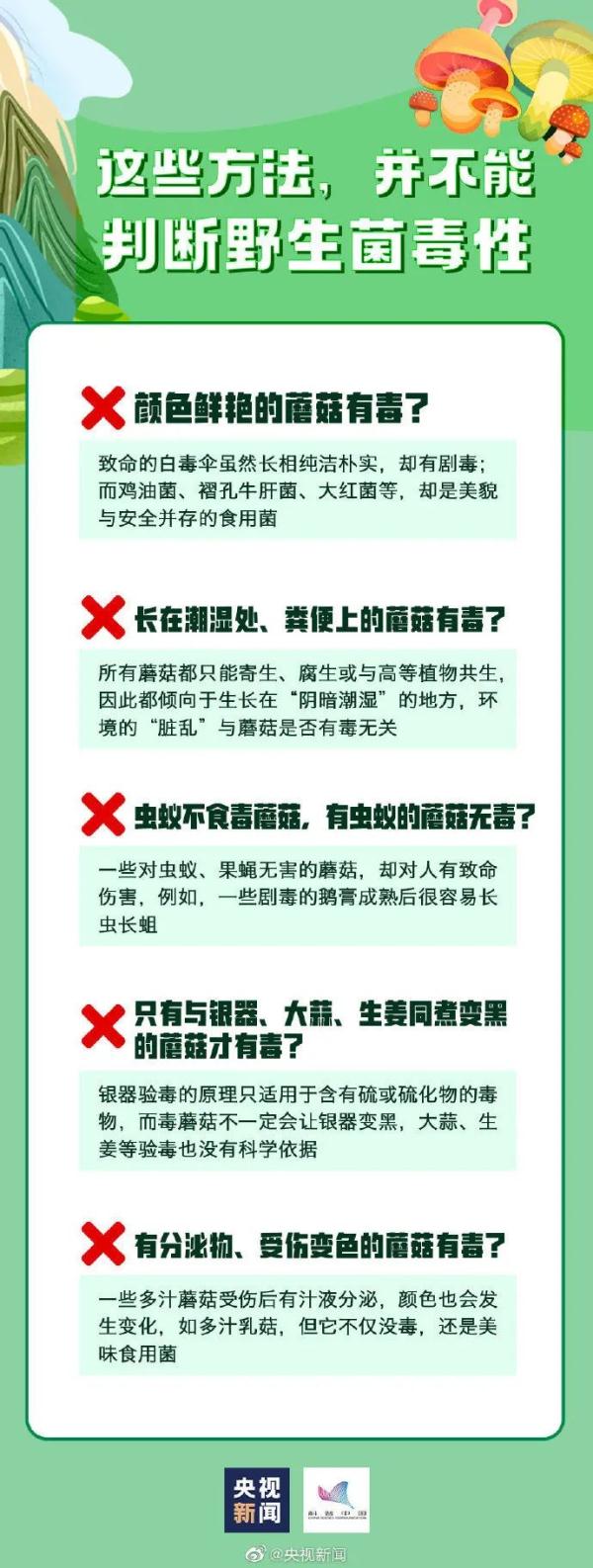 这把"伞"比手臂还粗！网友惊诧：这得躲过多少人才能长这么大…