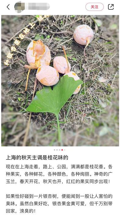 有毒！街头大量出现，别乱吃、乱碰！每年都有人为此进ICU！