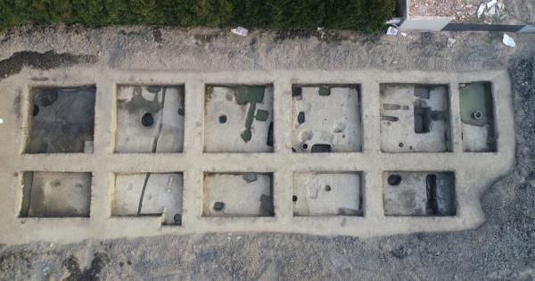 浙江一小学地下，有重大发现！