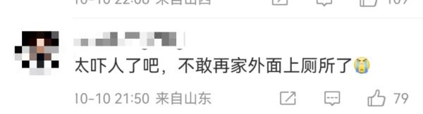 动车厕所内惊现摄像头，一男子被抓