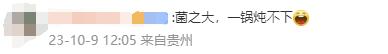 这把"伞"比手臂还粗！网友惊诧：这得躲过多少人才能长这么大…