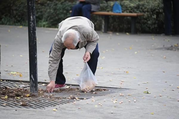 有毒!街头大量出现,别乱吃、乱碰!每年都有人为此进ICU 有毒!街头大量出现,别乱吃、乱碰!每年都有人为此进ICU