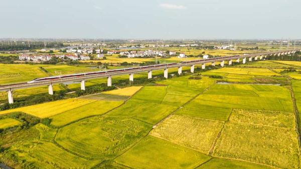 当高铁遇上金黄的稻田 | 新华每日播报特刊