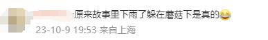 这把"伞"比手臂还粗！网友惊诧：这得躲过多少人才能长这么大…