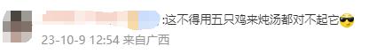 这把"伞"比手臂还粗！网友惊诧：这得躲过多少人才能长这么大…