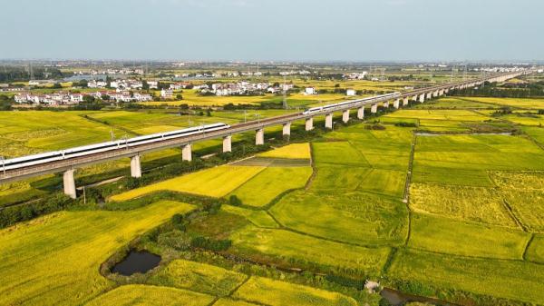 当高铁遇上金黄的稻田 | 新华每日播报特刊