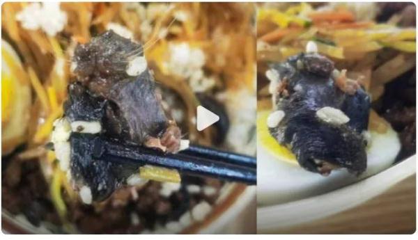 高校食堂现疑似“鼠头”物体！华北理工深夜通报：解除合同，追究责任