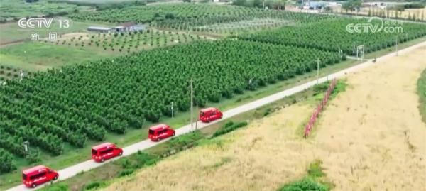 公路修出乡村振兴好“途”景 我国农村公路建设取得扎实成效 公路修出乡村振兴好“途”景 我国农村公路建设取得扎实成效