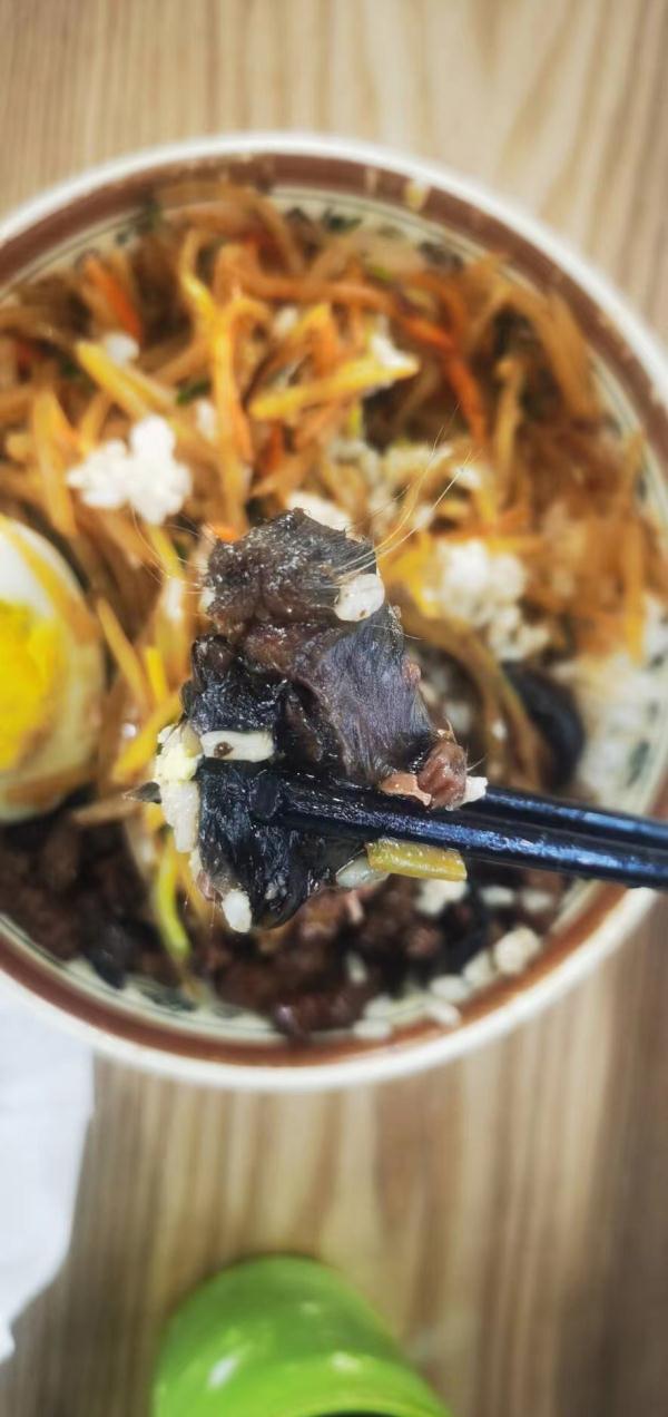 华北理工大学食堂疑吃出鼠头,学校通报:解除合同! 华北理工大学食堂疑吃出鼠头,学校通报:解除合同!