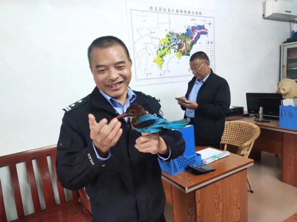 没想到这只“长嘴蓝鸟”，竟是国家二级野生保护动物……