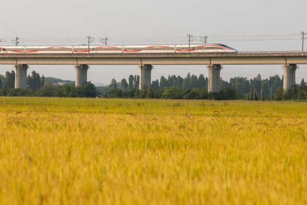 当高铁遇上金黄的稻田 | 新华每日播报特刊