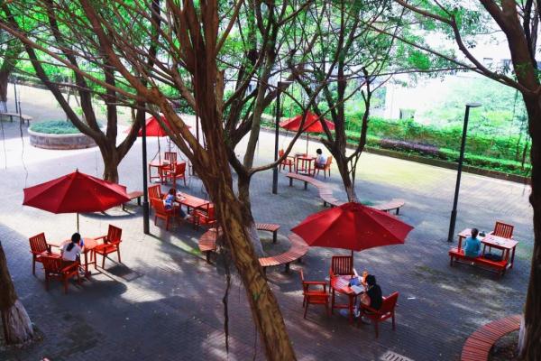 为什么大学图书馆门口楼梯这么多？“知识以一种很新的方式进到我的脑子里”