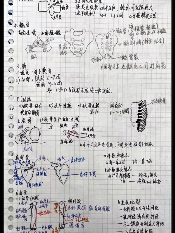 医学生学期没过半书就烂了?!原因是…… 医学生学期没过半书就烂了?!原因是……