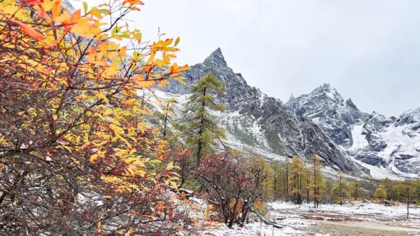 四川下！雪！了！接下来的天气→