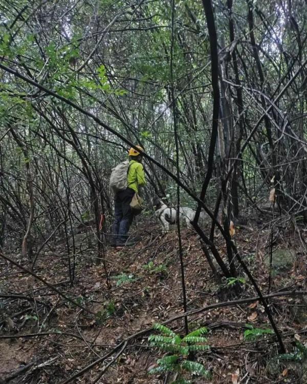 香港17岁少年失踪8天，最新消息→