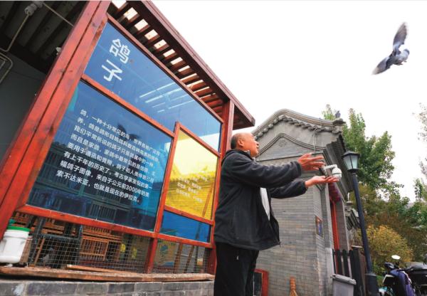 2023北京城市更新最佳实践系列⑤西城区法源寺文保区保护更新项目——烂缦胡同景观提升和试点院改造 2023北京城市更新最佳实践系列⑤西城区法源寺文保区保护更新项目——烂缦胡同景观提升和试点院改造