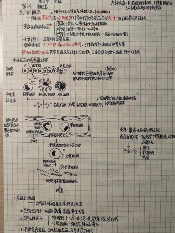 医学生学期没过半书就烂了?!原因是…… 医学生学期没过半书就烂了?!原因是……