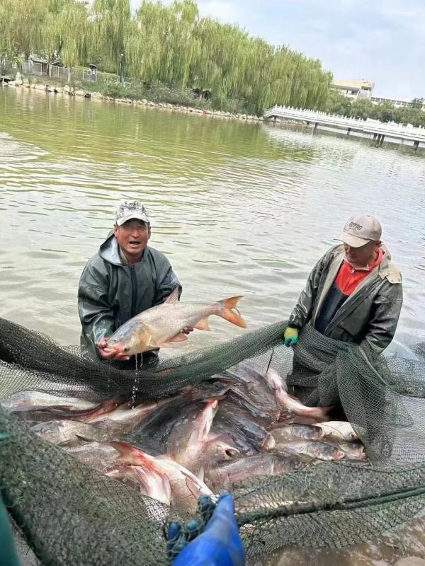 想吃螃蟹？！这一高校：“安排！每人6只！”