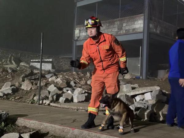 “犬”力出击！全国搜救犬赴鲁大PK！明星犬“红利”“焰刀”都来了