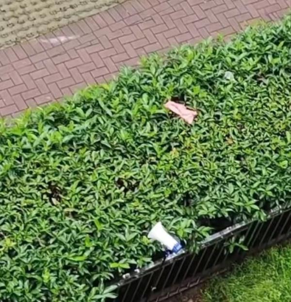 魔法打败魔法?长沙业主用大喇叭“对抗”广场舞,邻居:头要炸了! 魔法打败魔法?长沙业主用大喇叭“对抗”广场舞,邻居:头要炸了!