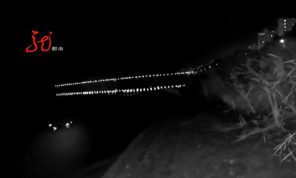 面对冰冷刺骨的河水，冰城警察勇敢地跳了进去......