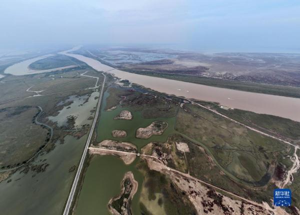 新时代中国调研行&middot;黄河篇丨走进黄河三角洲湿地