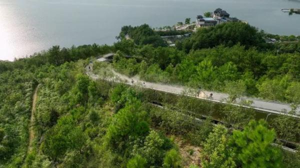 山一步没爬,景一处不落……景区实现“无痛爬山”,网友吵翻 山一步没爬,景一处不落……景区实现“无痛爬山”,网友吵翻