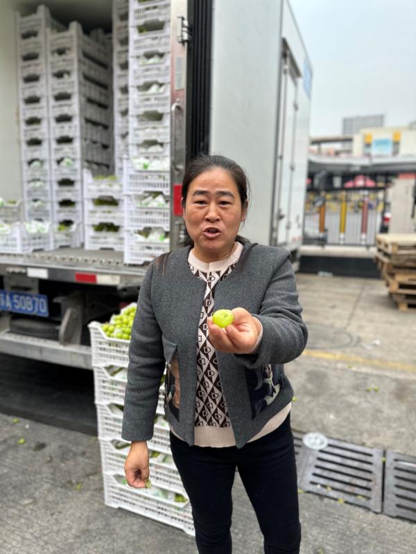 批发价跌至10元3斤，“阳光玫瑰”到底怎么了？