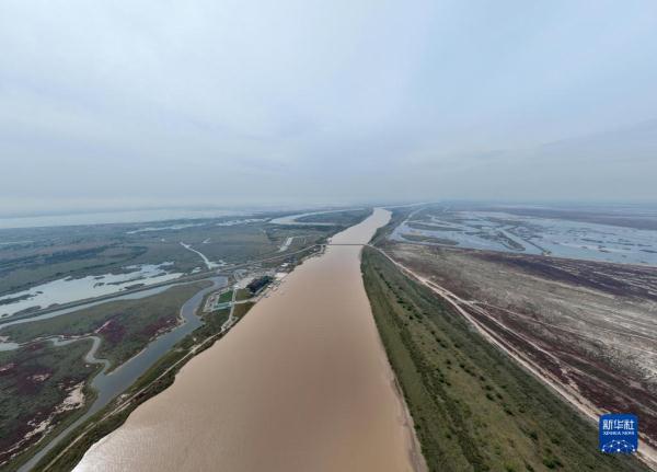 新时代中国调研行&middot;黄河篇丨走进黄河三角洲湿地