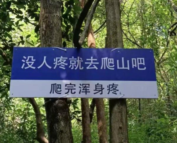 这种爬山方法突然火了，安全又不费脚！但也有网友质疑...