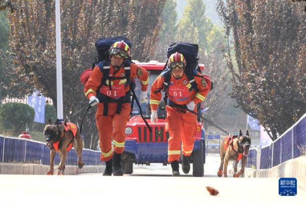第七届全国消防搜救犬技术比武竞赛在济南举行 第七届全国消防搜救犬技术比武竞赛在济南举行