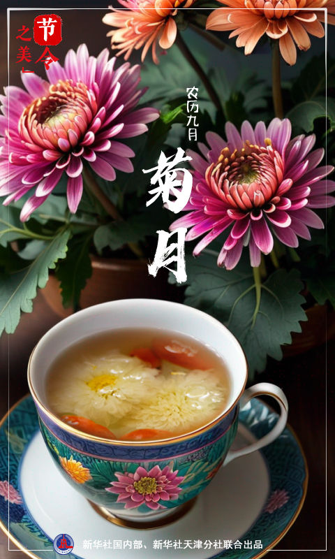 节令之美丨农历九月天，菊花有佳色
