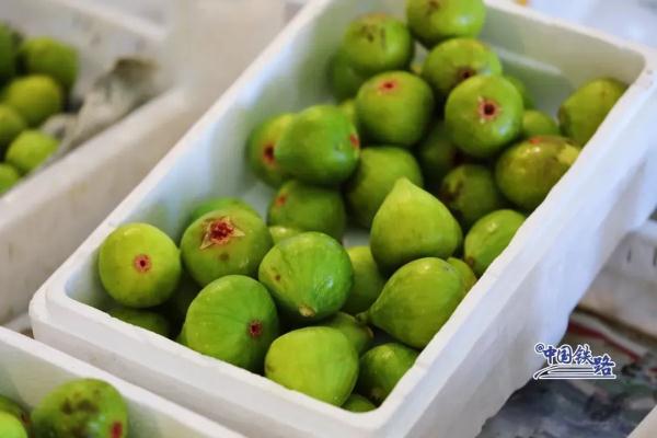 又见拎泡沫箱坐高铁，这波是“鲜货”