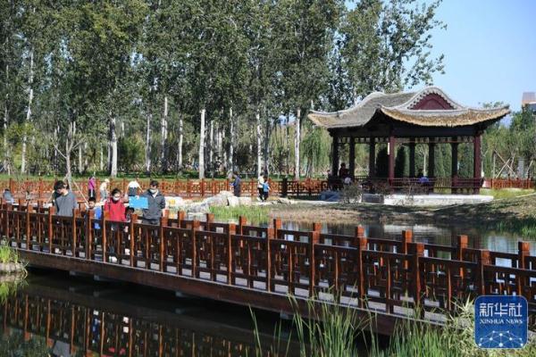 北京海淀：湿地公园让城市更美好