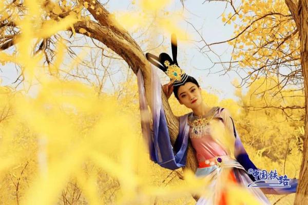 夕发朝至！这趟K字头列车带你去看绝美胡杨林