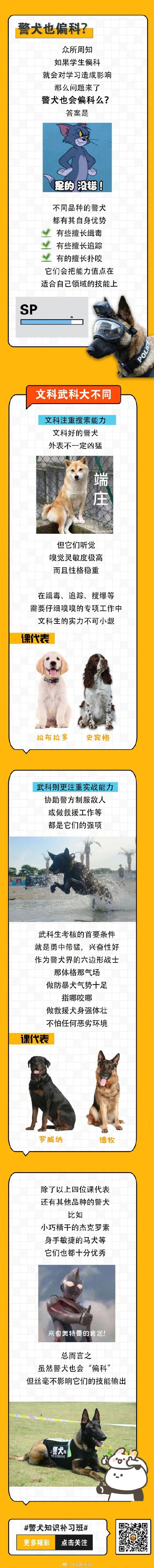 警犬分文科和武科