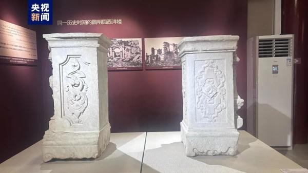 终于,它们回家了 终于,它们回家了