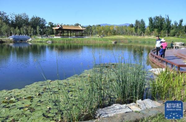 北京海淀：湿地公园让城市更美好