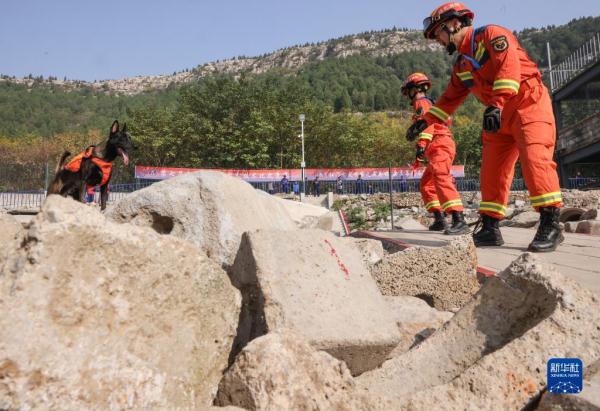 第七届全国消防搜救犬技术比武竞赛在济南举行 第七届全国消防搜救犬技术比武竞赛在济南举行