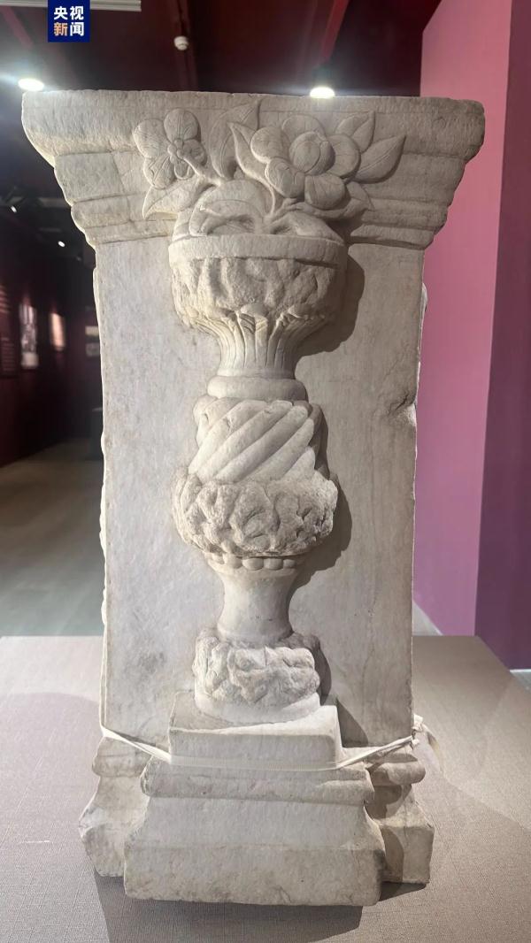 终于,它们回家了 终于,它们回家了