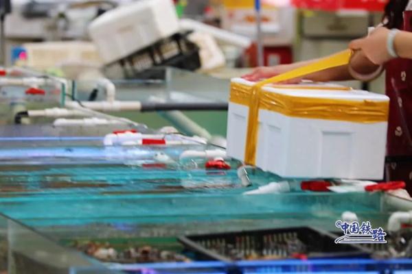 又见拎泡沫箱坐高铁，这波是“鲜货”