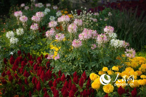 喜迎“一带一路”国际合作高峰论坛 北京街头“氛围感”拉满 喜迎“一带一路”国际合作高峰论坛 北京街头“氛围感”拉满