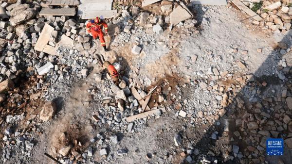 第七届全国消防搜救犬技术比武竞赛在济南举行 第七届全国消防搜救犬技术比武竞赛在济南举行