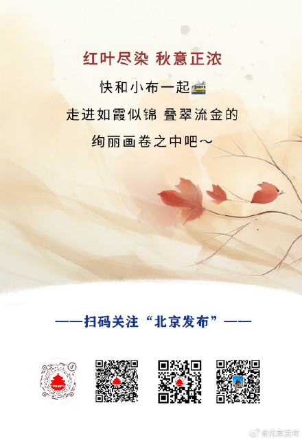 赏秋正当时！快来看北京红叶观赏图鉴