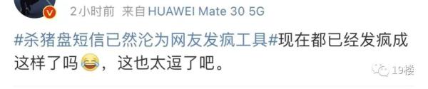 打不过就加入！"杀猪盘"短信沦为网友发疯工具？冲上热搜了…