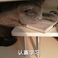 开车最怕“鬼探头”？五招教你这样应对